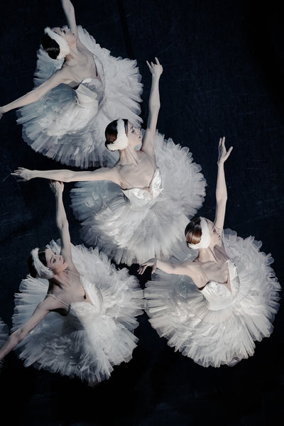 White Swans by Sasha Onyshchenko