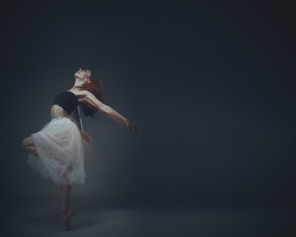 Ballerina's Dream by David Perkins