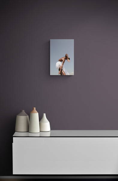 Hide and Seek Dance Photography Print on Aluminium from exhibition "The lost Swan" by Bert Alan exclusively on I Dance Contemporary Gallery. Art print on the wall